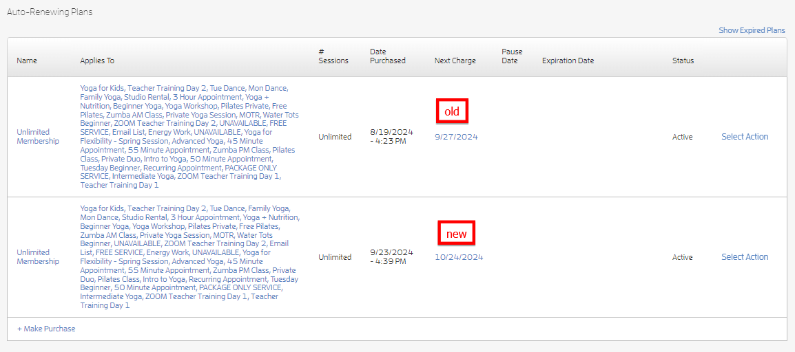 What happens if I try to purchase a duplicate auto-renewing membership for my customer? — screenshot 4