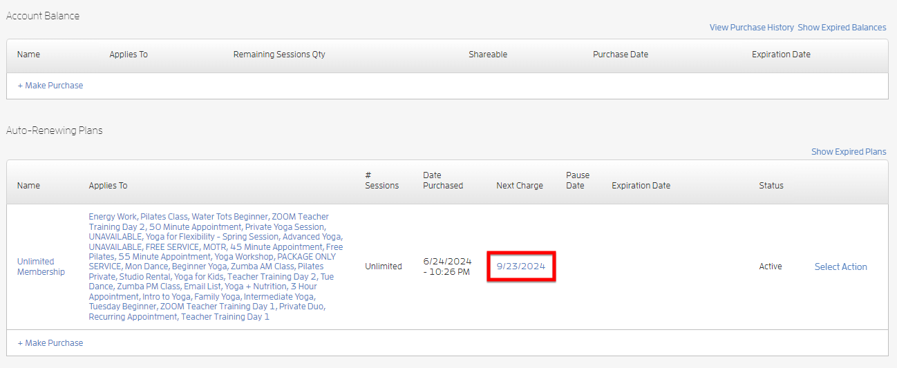 Account Balance Reporting — screenshot 3