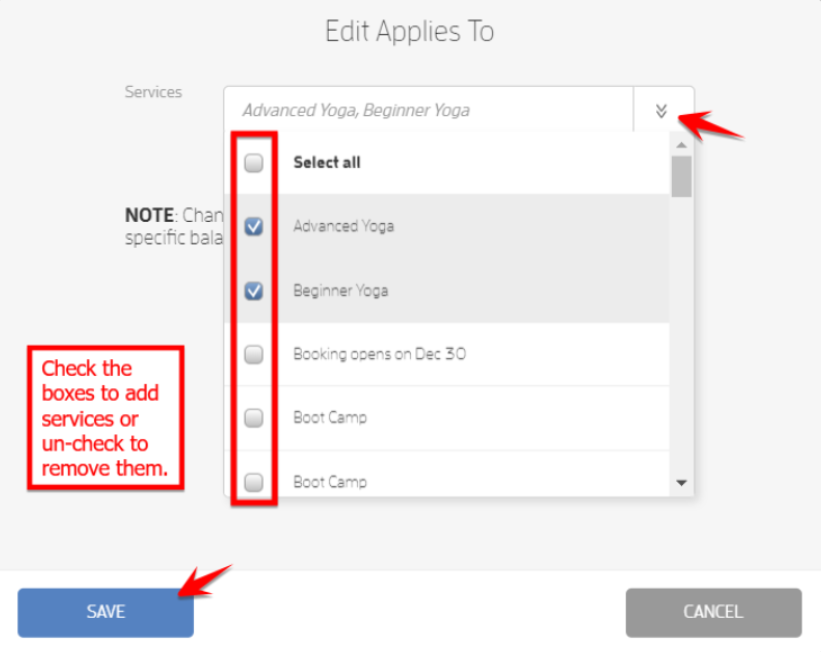 Updating Client Balances with Specific Services — screenshot 3