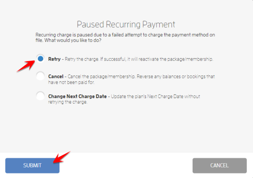 Handling Failing Client Auto-Renewing Memberships (Business Guide) — screenshot 10