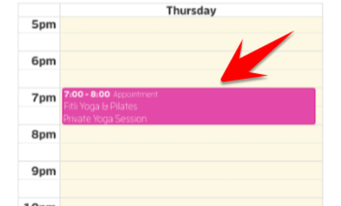 Mobile version: Google Calendar Integration - For Clients! — screenshot 7