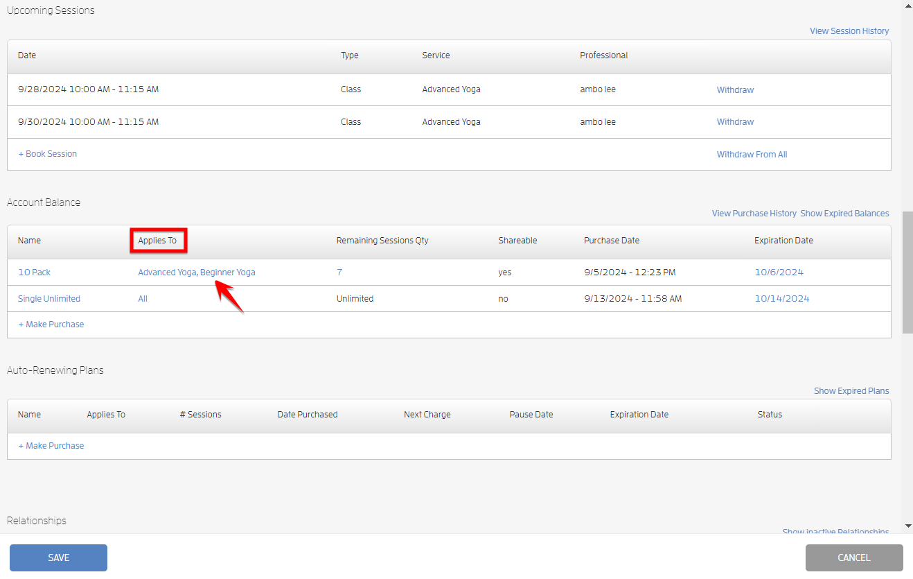 Updating Client Balances with Specific Services — screenshot 2