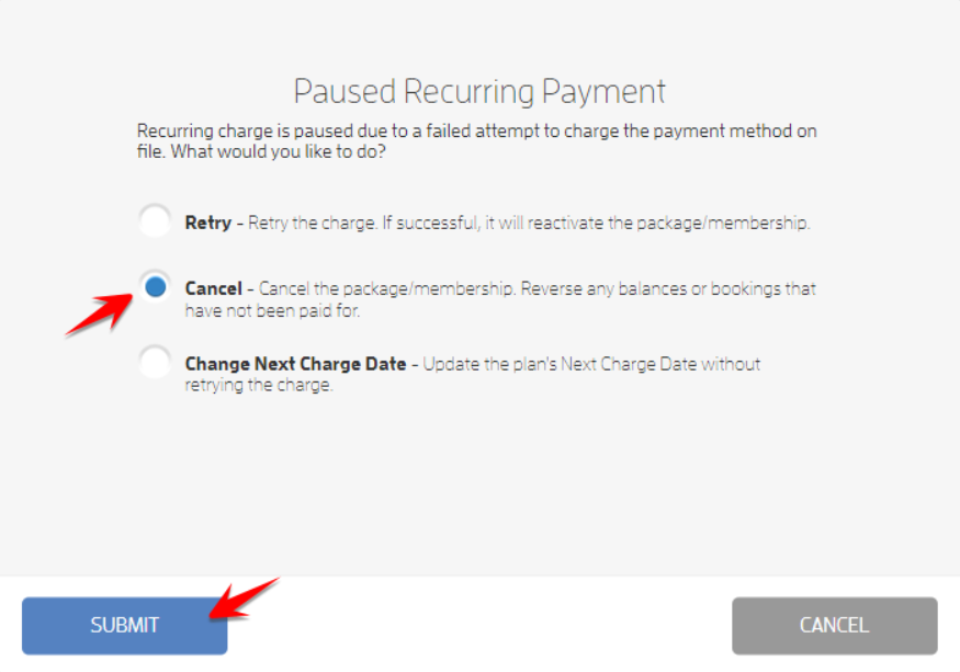 Handling Failing Client Auto-Renewing Memberships (Business Guide) — screenshot 15