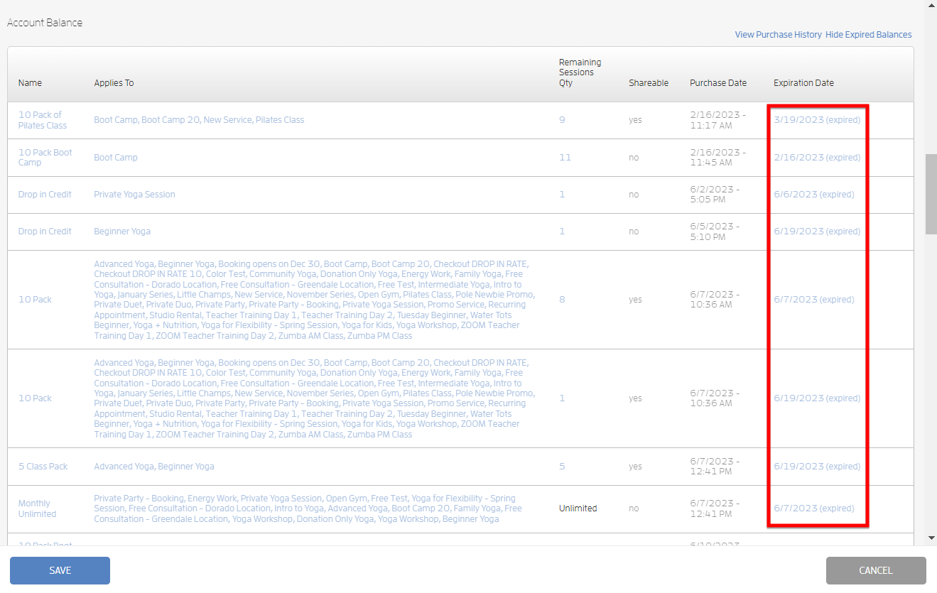 Account Balance Reporting — screenshot 8