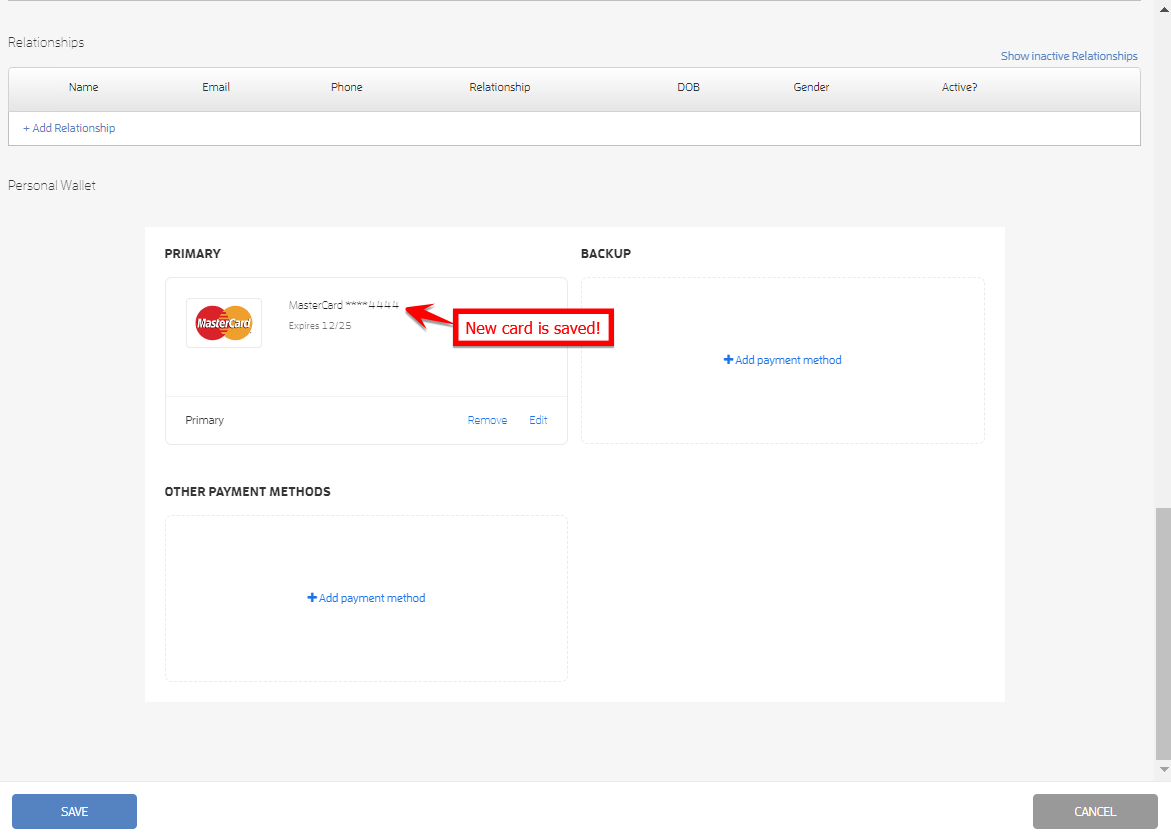 Business Guide: Primary and Backup Payment Methods — screenshot 18